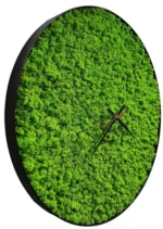 Round wall clock with Iceland moss - Image 4