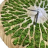 Close-up of wooden wall clock face with carved radial grooves inlaid with preserved green moss and black hands.