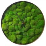 Round Clock with Ball Moss