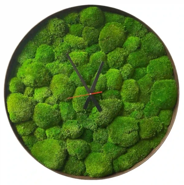 Round wall clock featuring preserved ball moss and minimalist center hands in a circular frame