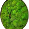 Round wall clock filled with green ball moss and black hands in a slim dark wooden frame, angled three-quarter view.