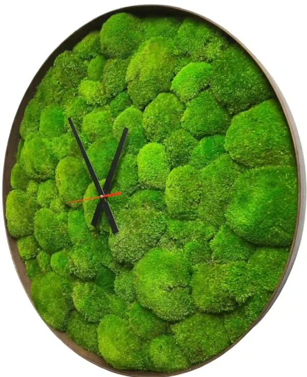 Round Clock with Ball Moss - Image 3