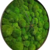 Angled view of a round wall clock filled with textured green ball moss and black hands