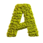 Moss Letters - Image 7