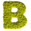 Letter B wall decor covered in bright green preserved moss on a white background