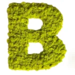 Moss Letters - Image 8