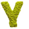 Letter Y wall decor covered in bright green preserved moss on a white background