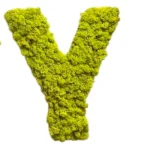 Moss Letters - Image 9