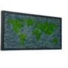 moss-map-islandmoss_result_1.webp Angled view of framed moss world map with green continents and blue ocean in a black frame