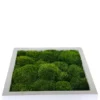 Square green moss wall art panel in a white wooden frame, tilted view on a white background.