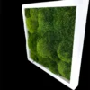 Textured green ball moss wall art in a white frame, angled view against a black background.