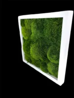 Moss Picture with Provence Moss (Siberian Moss) - Image 3