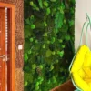 Preserved green moss wall with ferns and bun moss textures installed next to a wood door and yellow hanging chair.