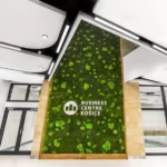 Moss Panel with Cushion Moss and Sheet Moss 50/50 - Image 3