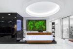 Moss World Map with Flat Moss and Cushion Moss - Image 6