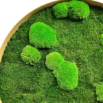 Round Moss Wall Art with Bunn Moss and Flat Moss - Image 2