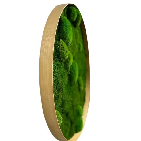 Round Moss Wall Art with Bunn Moss and Flat Moss - Image 3