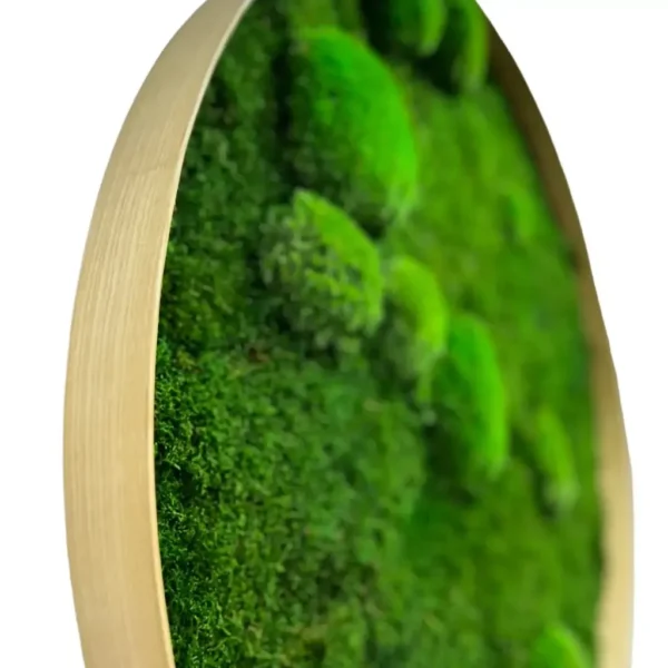 Round Moss Wall Art with Bunn Moss and Flat Moss - Image 4