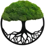 Moss Tree with Ball Moss. Tree of Life