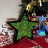 Black wooden star frame filled with green reindeer moss (10.6") on a festive holiday table.