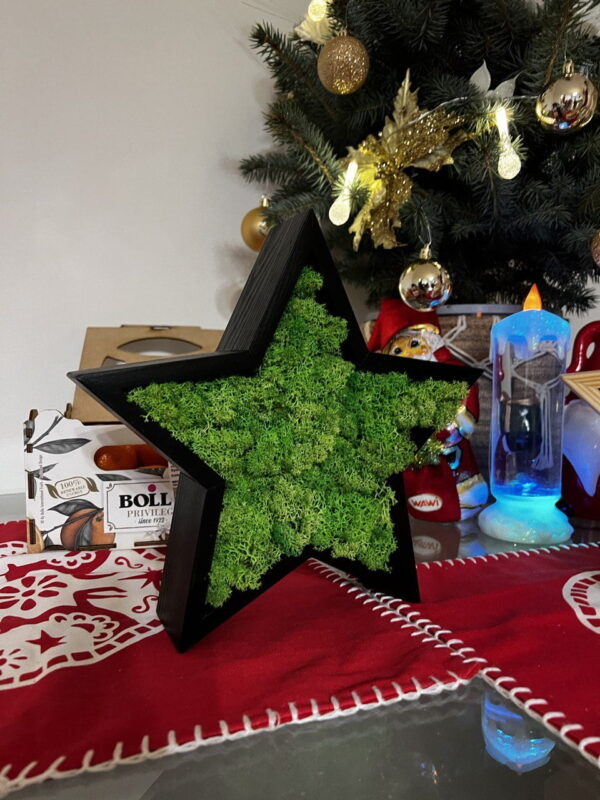 Wooden Christmas Star with Iceland Moss - Image 5