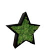 Black wooden star frame filled with green reindeer moss, shown from an angled perspective.