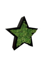 Wooden Christmas Star with Iceland Moss - Image 2