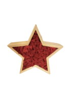 Wooden Christmas Star with Iceland Moss