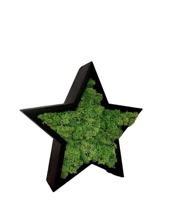Wooden Christmas Star with Iceland Moss - Image 2