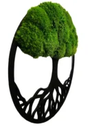 Moss Tree with Ball Moss. Tree of Life - Image 4