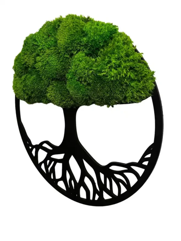 Moss Tree with Ball Moss. Tree of Life - Image 3