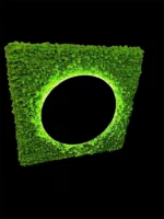 Backlit Bathroom Mirror with Moss - Image 2