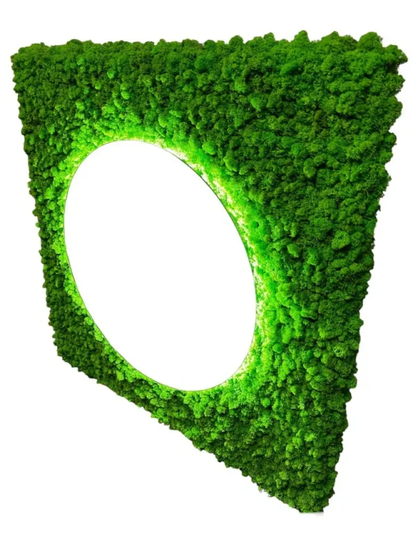 Backlit Bathroom Mirror with Moss - Image 3