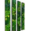 Four vertical panels with varied green preserved moss, ferns, and round plant forms, against a dark background.