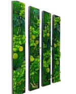 Custom Moss Picture - Image 5