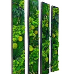 Plant Wall Art: Set of Moss Pictures Made from Real Plants