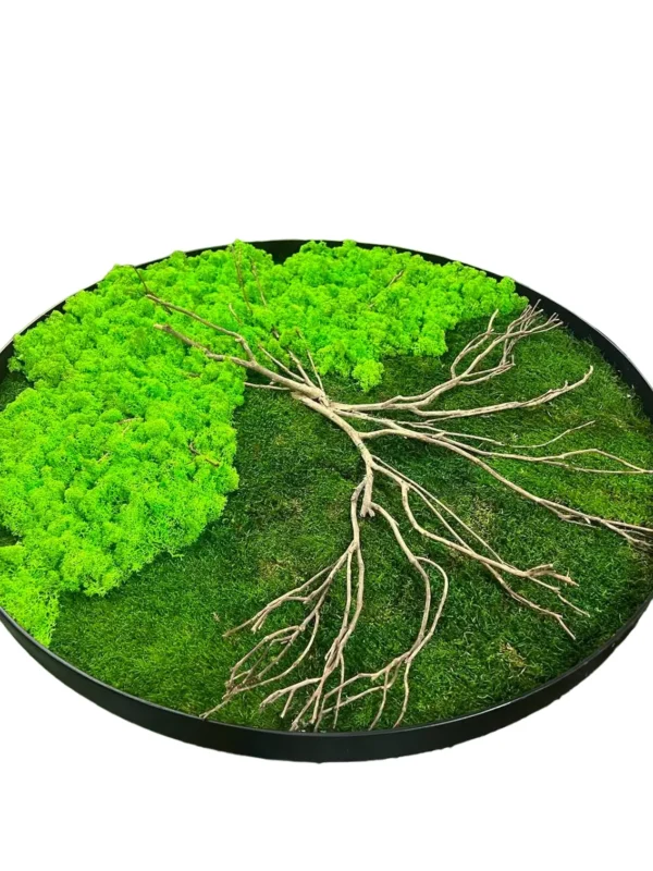 Round preserved moss wall art featuring a wooden branch tree design inside a circular frame