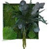 Square moss wall art with preserved flat moss, ball moss, and foliage in a frame