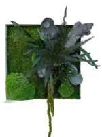 Moss Wall Art with Bun Moss, Flat Moss and Plants