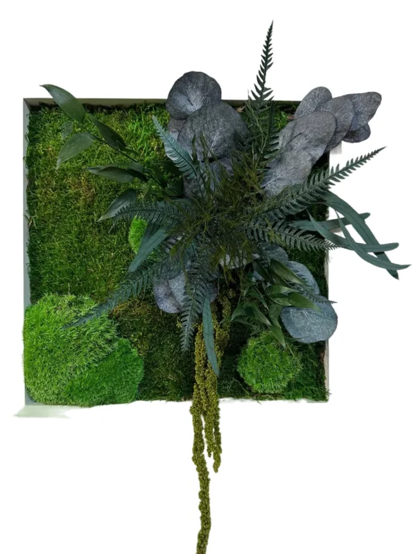 Square moss wall art with preserved flat moss, ball moss, and foliage in a frame