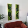 Preserved botanical moss wall art set displayed above a tufted rust-orange sofa.