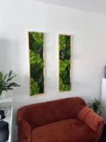 Plant Moss Picture Set Remix | Moss Wall Art Set - Image 3
