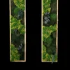 Two vertical preserved moss wall art panels with botanical plants and natural wood frames on a black background