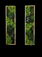 Plant Moss Picture Set Remix | Moss Wall Art Set - Image 5