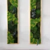 Pair of vertical moss and plant wall art panels in natural wood frames hung on a white wall above a sofa