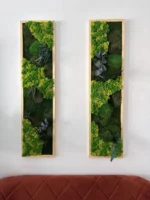 Plant Moss Picture Set Remix | Moss Wall Art Set - Image 4