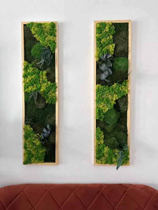 Plant Moss Picture Set Remix | Moss Wall Art Set - Image 4