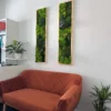 Two vertical green moss wall panels in wooden frames mounted on a white wall above an orange sofa.
