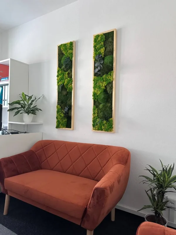Plant Moss Picture Set Remix | Moss Wall Art Set - Image 2
