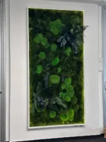 Illuminated Moss Picture with Cushion Moss, Siberian Moss and Plants - Image 3